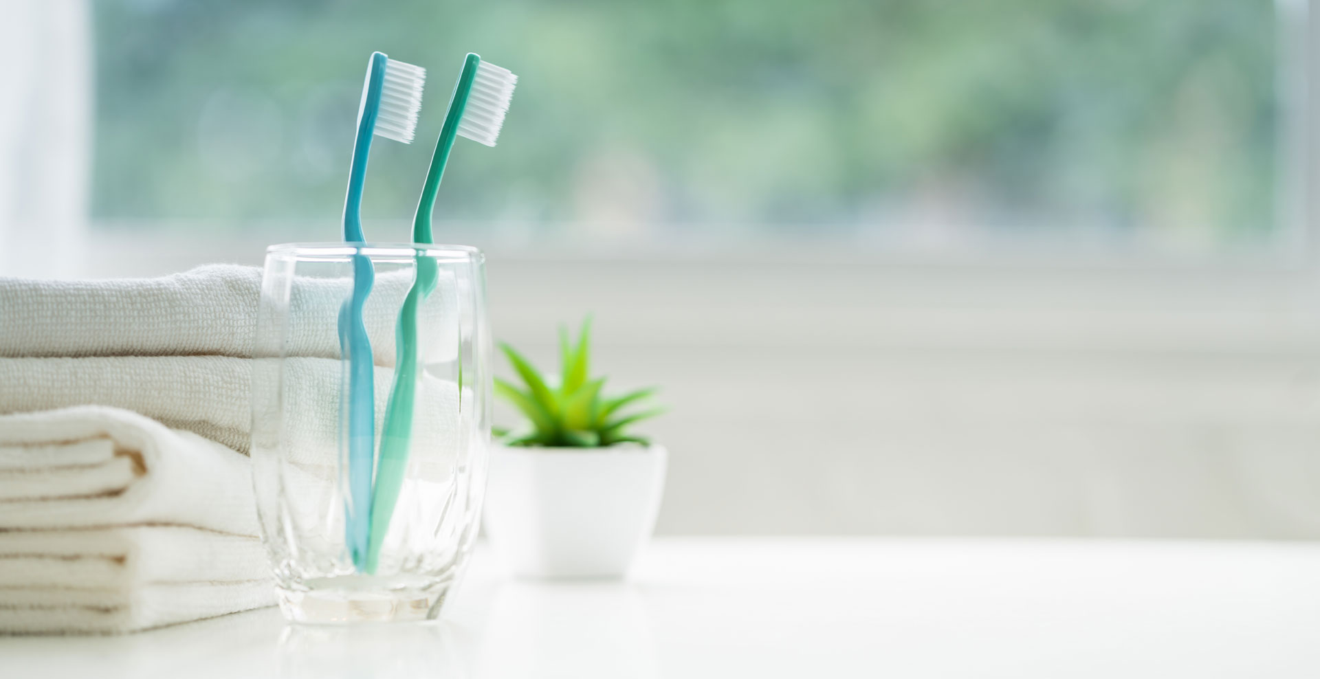 Two toothbrushes in a glass cup with white bath towels and a succulent in a white pot on a counter